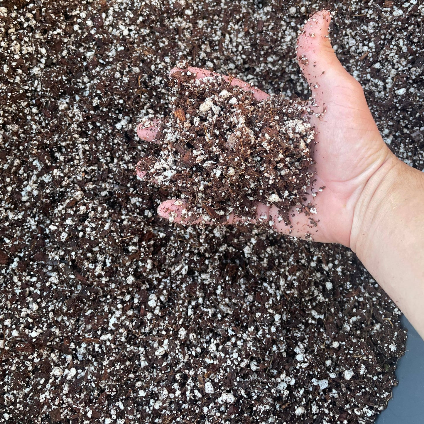 Frank's Soilless Mix (2 gal)