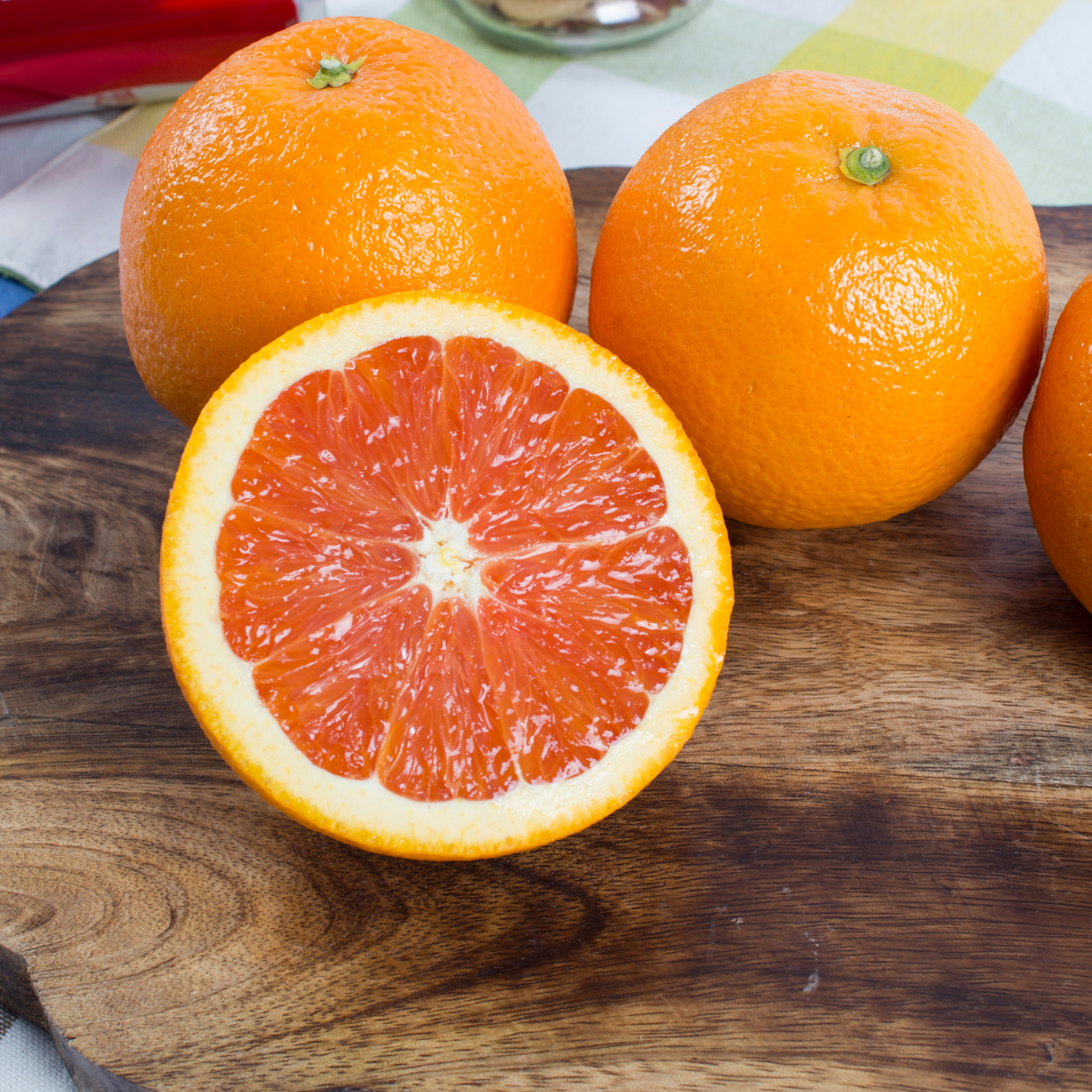 Dwarf Cara Cara Navel Orange Potted Tree