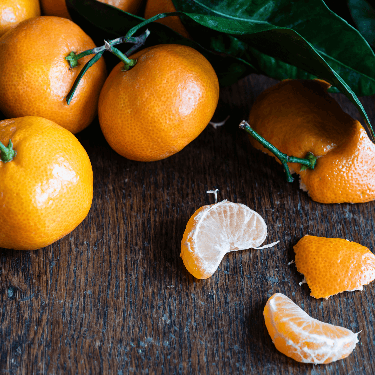 Frost Owari Satsuma Mandarin Potted Tree - Frank's Fruit Trees