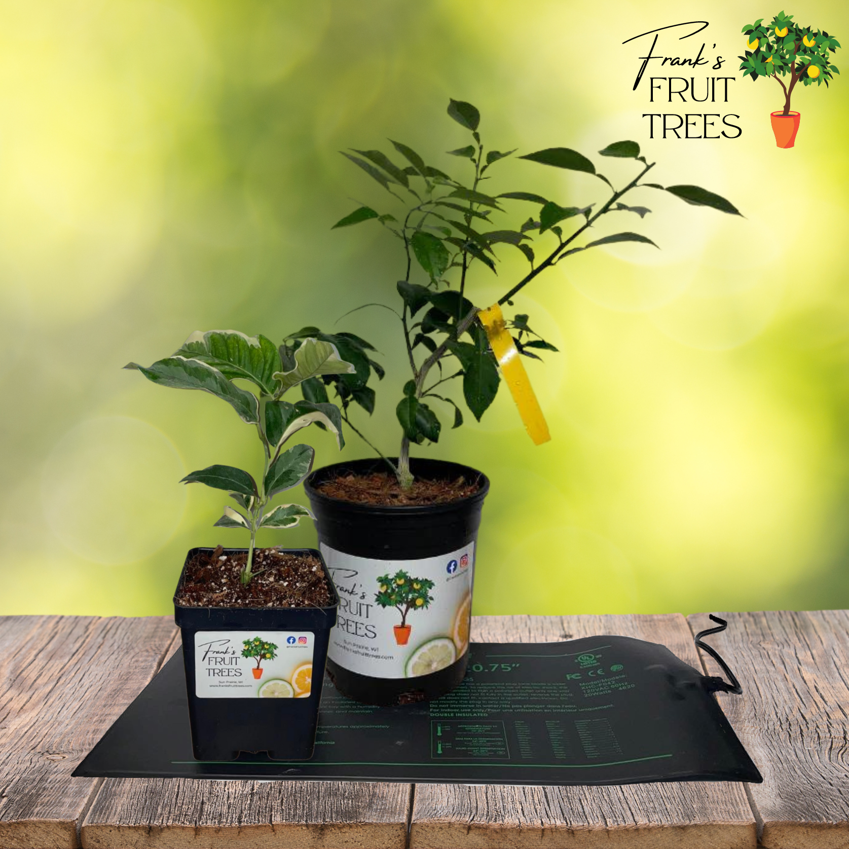 indoor plant mat Waterproof Heating Mat – Frank's Fruit Trees