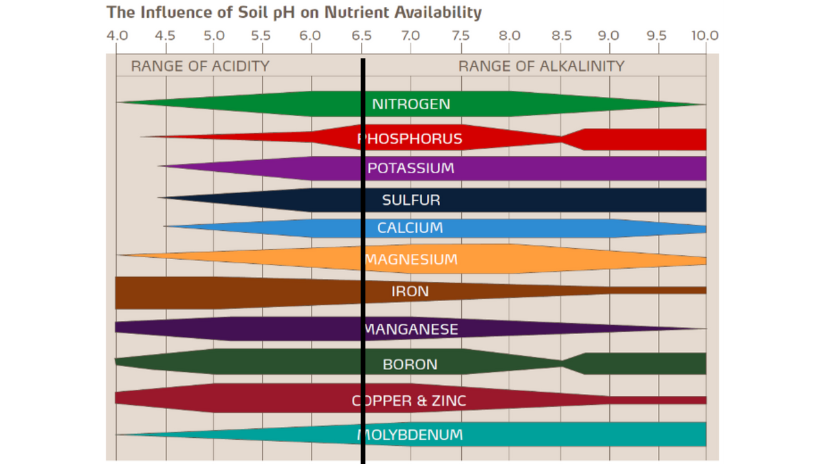 Soil Ph Chart For Fruit Trees PH Frank's Fruit Trees