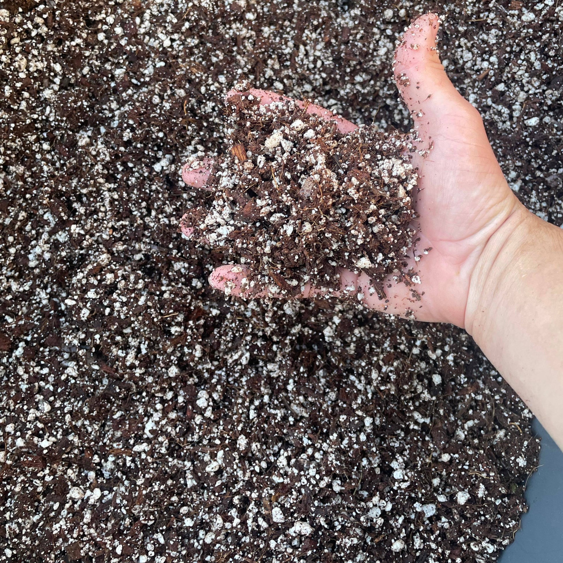potting mix for fruit trees Frank's Soilless Mix (2 gal) – Frank's Fruit Trees