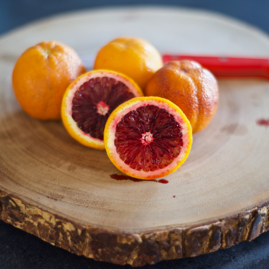 Moro Blood Orange Potted Tree - Frank's Fruit Trees